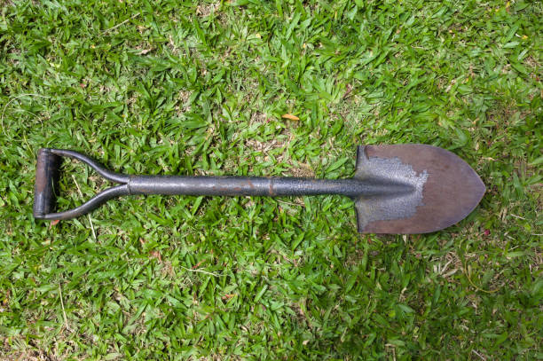 istock Shovel used in gardening or construction 1356801548