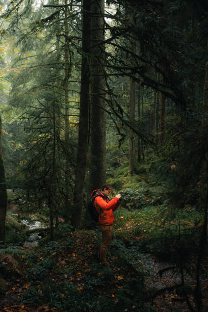 istock Young man  takes photo in forest 1356801847