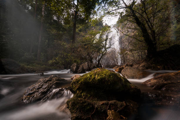 istock Khlong Lan waterfall national park Kampang Pech 1356801890