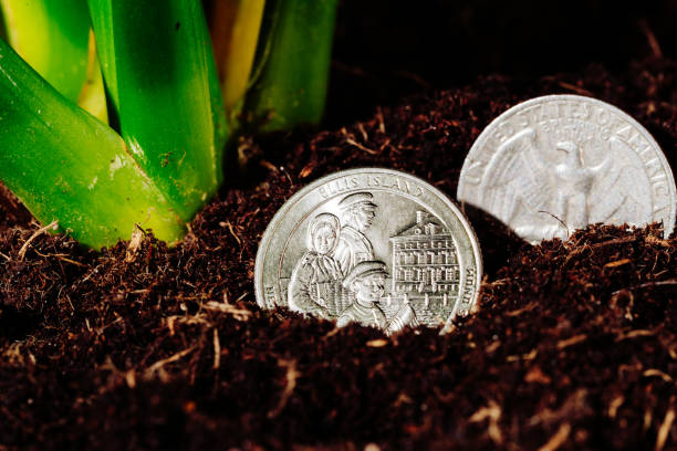 istock Money growth metaphor 1356802750