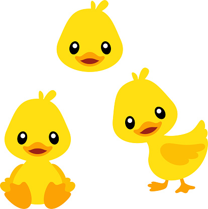 Cute, colorful illustrations of a duck head, a duck sitting, and a duck standing.