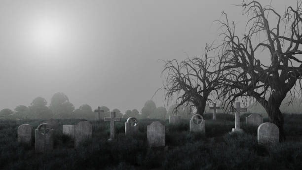 cementerio con lápidas, árbol muerto y niebla.3d representación - cemetery fotografías e imágenes de stock