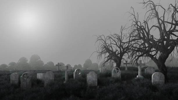 cimetière avec pierres tombales, arbre mort et brume.3d rendu - cemetery photos et images de collection