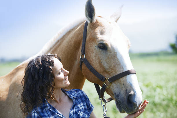 istock Woman looking at her horse at paddock 1356805128
