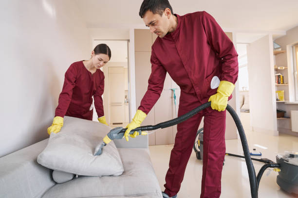 istock Two skilled uniformed workers steam-cleaning couch cushion 1356805151