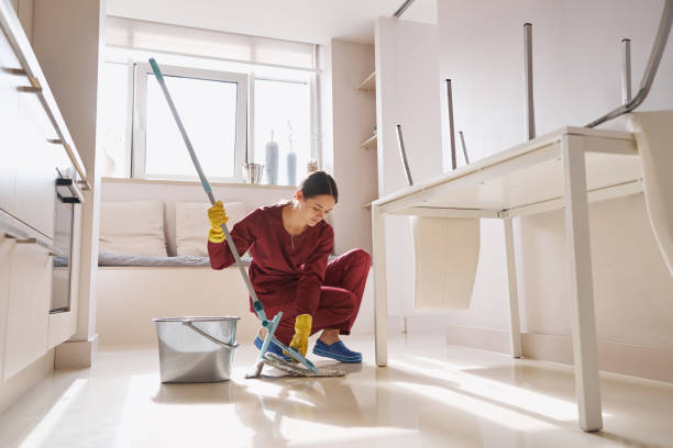 istock Concentrated professional cleaner adjusting manual cleaning equipment 1356805716
