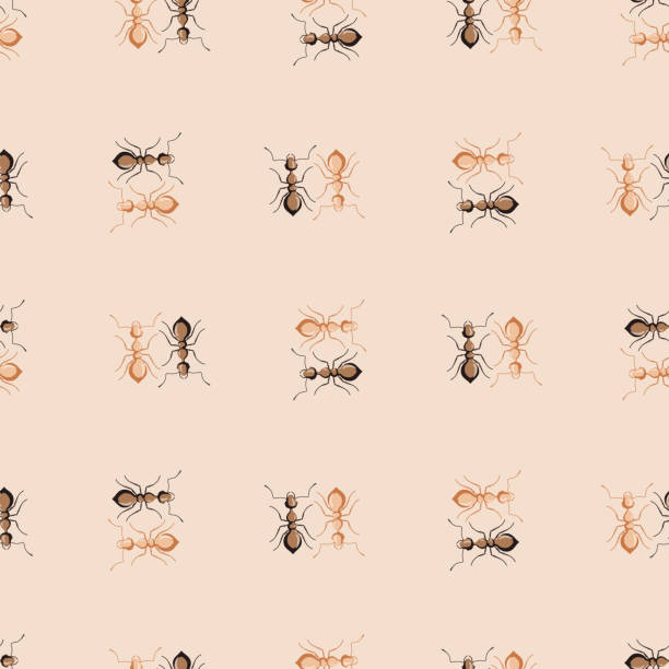 illustrations, cliparts, dessins animés et icônes de fourmis de colonie à motif sans couture sur fond beige. modèle d’insectes vecteurs dans un style plat pour n’importe quel but. texture d’animaux modernes. - colonie danimaux