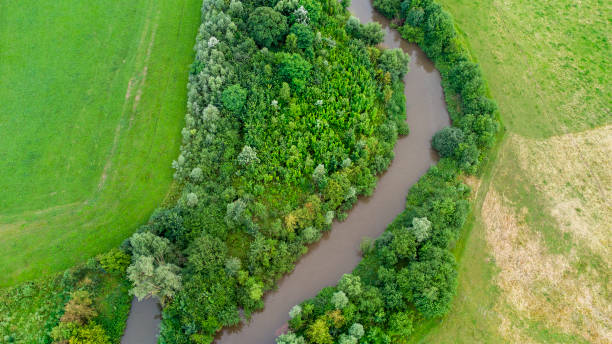 istock Renaturation of a small river 1356808686