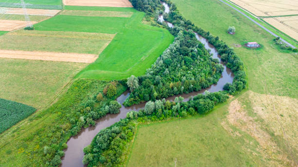 istock Renaturation of a small river 1356808717
