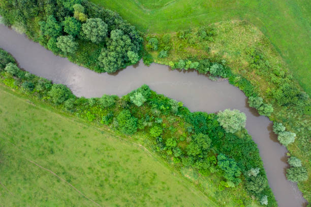 istock Renaturation of a small river 1356808742