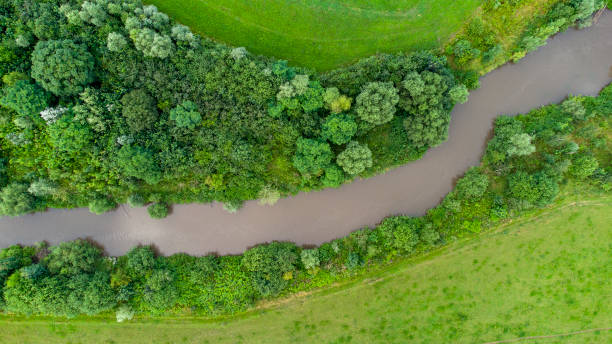 istock Renaturation of a small river 1356808768