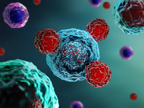 T cells attacking cancer cells 3d render of T cells attacking cancer cells antigen stock pictures, royalty-free photos & images