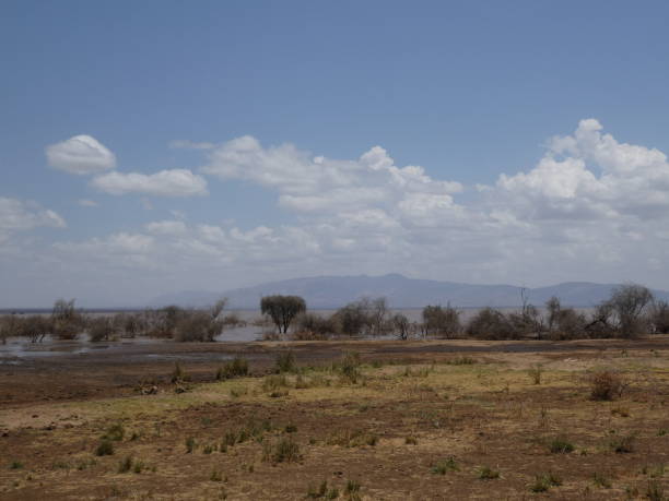 istock Lake Manyara National Park Lanscape 1356811280