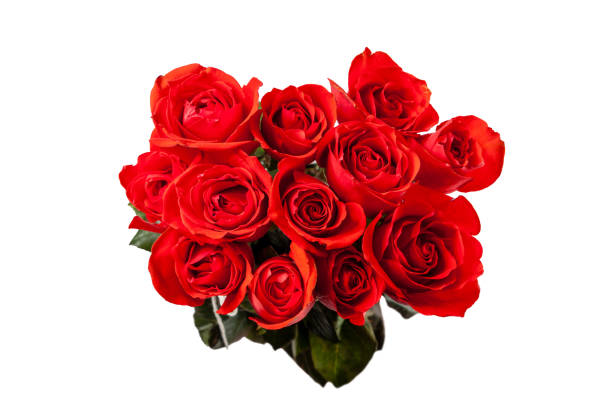 vista dall'alto verso il basso del bouquet di dozzine di rose rosse isolate su bianco - dozen roses immagine foto e immagini stock