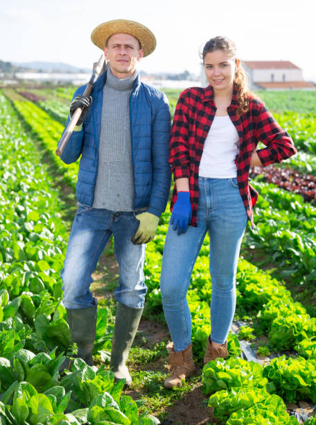 istock Young farmer couple ready to work on leaf vegetable plantation 1356815789