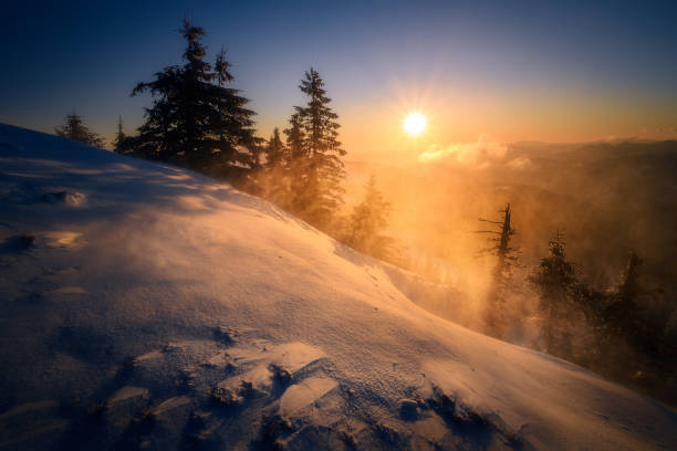 Beautiful sunrise landscape scene on a winter morning with high winds blowing the snow, moody and beautiful atmosphere stock photo