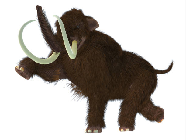 istock Ice Age Woolly Mammoth Male 1356816365