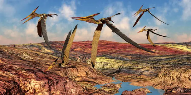 Pteranodons reptiles fly over a mountainous landscape in the Cretaceous Period of North America.