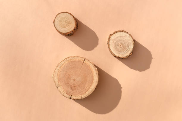 istock Three woodcut disks lying on a trendy beige background 1356817491