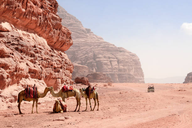 รถจี๊ปซาฟารีในทะเลทราย wadi rum ประเทศจอร์แดน นักท่องเที่ยวนั่งรถออฟโรดบนทรายท่ามกลางโขดหินท� - jordan middle east ภาพสต็อก ภาพถ่ายและรูปภาพปลอดค่าลิขสิทธิ์