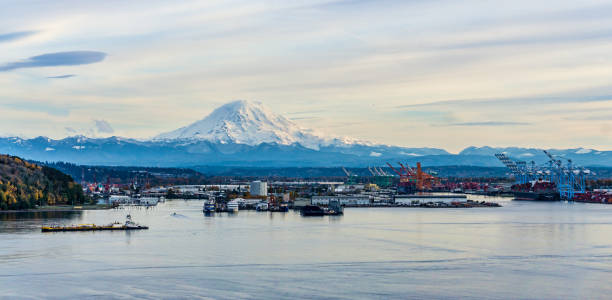 istock Shipping Port And Mountain 4 1356818580