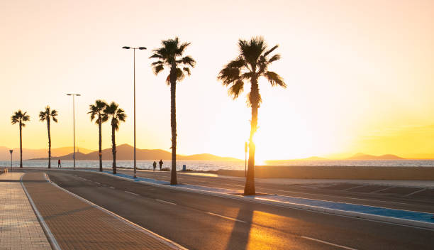 istock seaside,  road, palm and sunset landscape 1356820121