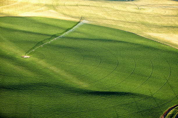 Irrigated Idaho farm land aerial. stock photo
