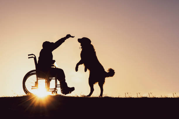 istock people who turn obstacles into love and friendship 1356823908