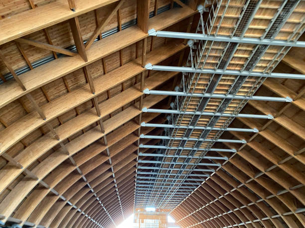 tetto portante emisferico in cemento armato del magazzino - factory corporate business forest day foto e immagini stock