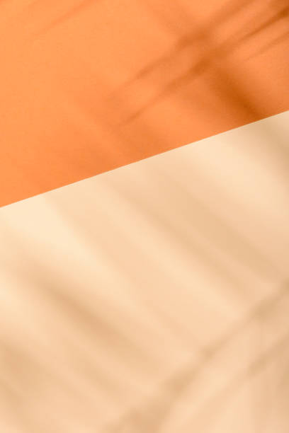 istock Warm orange and beige summer color background with tropical palm shadow. 1356825313