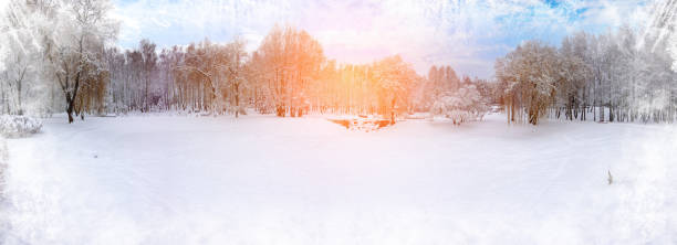 paysage de noël d’hiver. arbres blancs dans la forêt couverte de neige, congères de neige contre ciel bleu par temps ensoleillé sur la nature en plein air. format ultra large. - frozen ice sky sun photos et images de collection