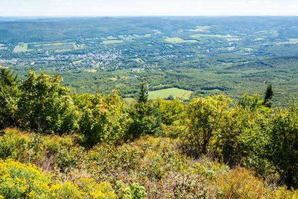 vue aérienne d’adams overlook le long du sentier mohawk dans le massachusetts, aux états-unis. - hoosac photos et images de collection