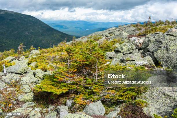Landscape In The Fragile Alpine Zone Of Mount Washington In New Hampshire Stock Photo - Download Image Now