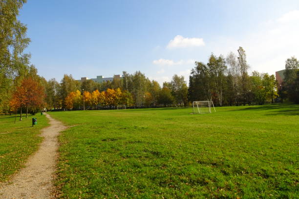 istock Autumn in park with colorful trees 1356828058