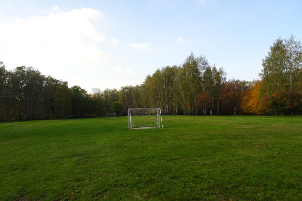 istock Autumn in park with colorful trees 1356828749