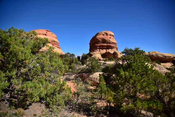 istock Cheeseburger Rock Formation in The Needles 1356830083