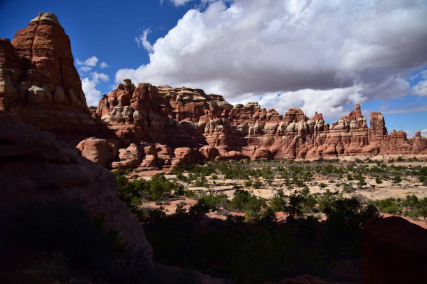 istock The Needles of Canyonlands NP 1356830288