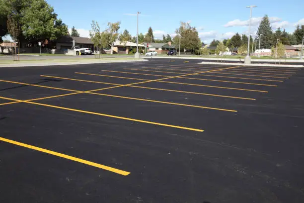 The parking stalls in a parking lot, marked with yellow lines.