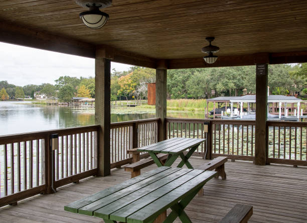 istock Swamps and Lakes 1356830845