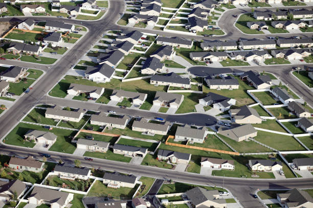 istock Aerial view of a modern subdivision 1356831288