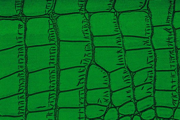 Artificial textured crocodile skin, green color. Dark green leather texture background.