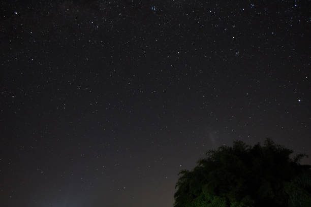 istock nighttime sky full of stars 1356834292