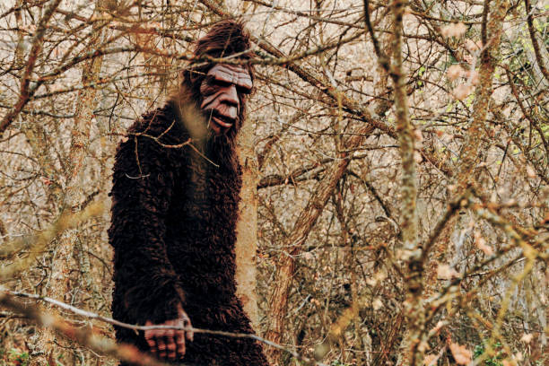 istock Sasquatch Bigfoot in the Forest 1356837549