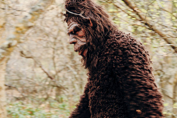 istock Sasquatch Bigfoot in the Forest 1356837575