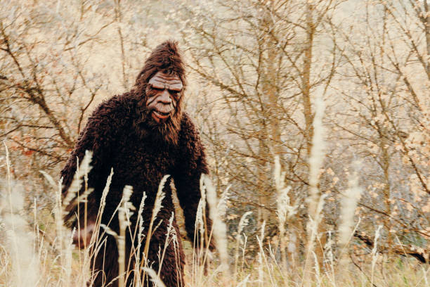 istock Sasquatch Bigfoot in the Forest 1356837624