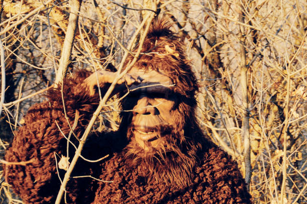 istock Sasquatch Bigfoot in the Forest 1356837672