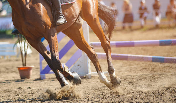 Rider on a horse performing Rider on a horse performing at show jumping champinship equestrian show jumping stock pictures, royalty-free photos & images