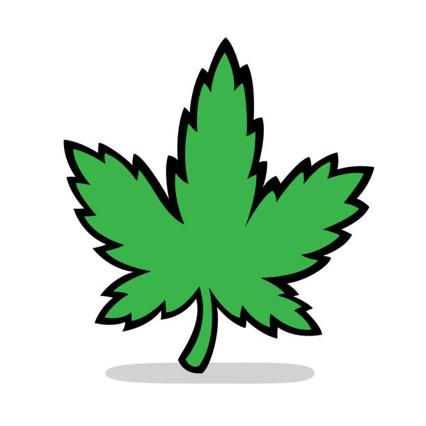 Marijuana Leaf Doodle 7 Stock Illustration - Download Image Now - Cannabis  Leaf, Cartoon, Drawing - Art Product - iStock