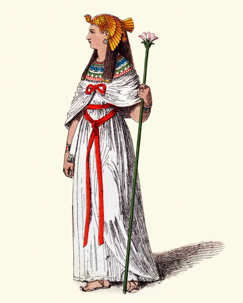 ilustraciones, imágenes clip art, dibujos animados e iconos de stock de moda del mundo antiguo, traje de la reina egipcia antigua - traje de reina egipcia
