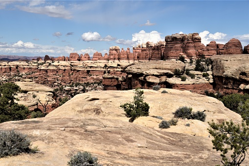 The sun brightens the unique landscape of Chesler Park in The Needles section of Canyonlands National Park.